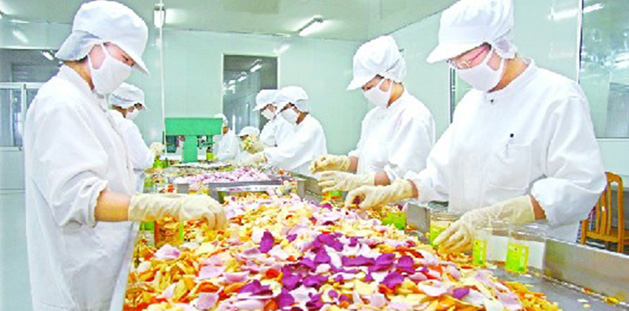 山东寿光蔬菜产业集团